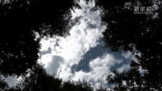 港联配资 山河印记·寻访抗战足迹丨炊烟无痕 抗联密营里的“消烟道”