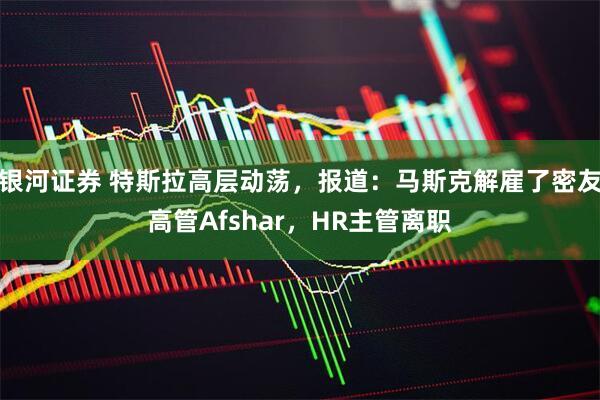 银河证券 特斯拉高层动荡，报道：马斯克解雇了密友高管Afshar，HR主管离职