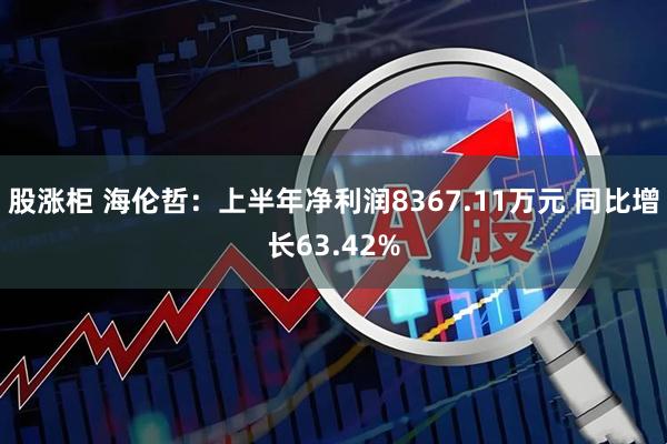 股涨柜 海伦哲：上半年净利润8367.11万元 同比增长63.42%