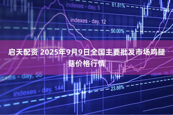 启天配资 2025年9月9日全国主要批发市场鸡腿菇价格行情